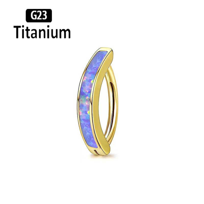 1PC 14G Implant Grade G23 Tita - Body Jewelry Implants review and price